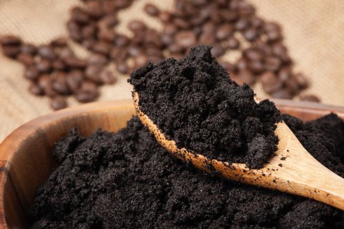 Top 5+ Manfaat Ampas Kopi, Jangan Langsung Dibuang