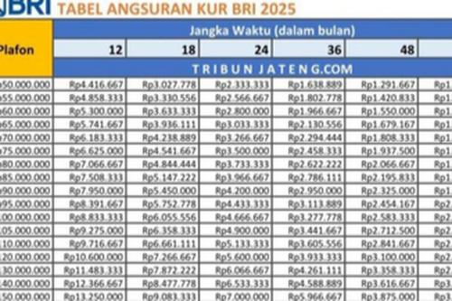 Cara Ajukan Pinjaman KUR BRI, Syarat, dan Tabel Angsurannya Juli 2025