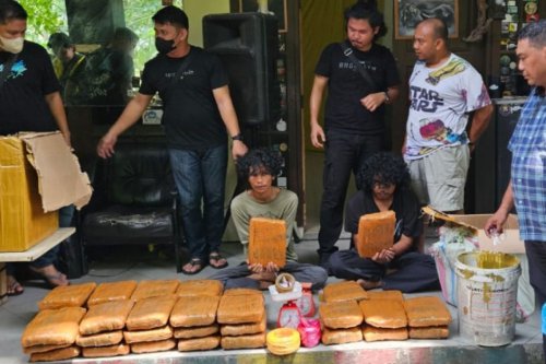 Kampus UIN Suska Riau Dijadikan Markas Aman Pengedar Ganja, 63 Kg Barang Bukti Disita