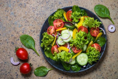 salad, salad bar, living salad bar, tren menikmati salad, Living Salad Bar, Tren Baru Menikmati Salad Segar Langsung dari Kebun