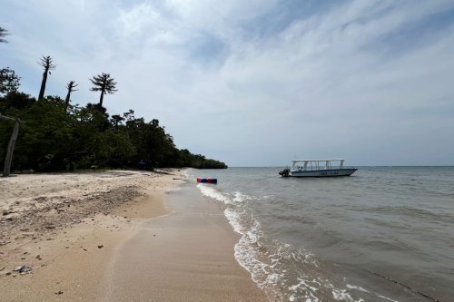 Pantai Bama, Keindahan Pasir Putih di Ujung Taman Nasional Baluran