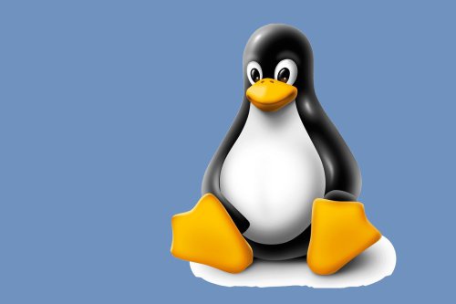 Mengapa Linux Pakai Penguin sebagai Logo? Begini Asal Usulnya