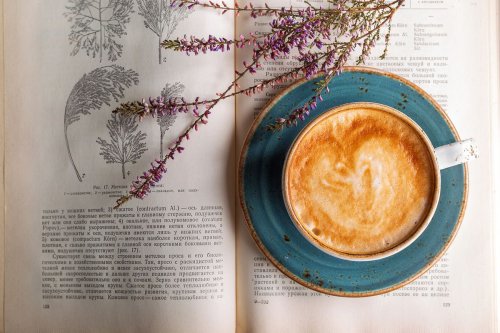 Top 7+ Book Cafe di Jakarta, Nyaman untuk Ngopi, Baca sampai WFC