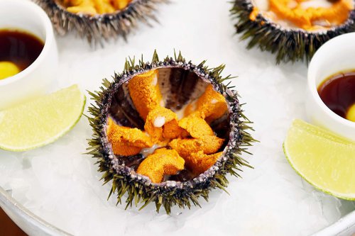 Uni, Bahan Makanan Premium yang Jadi Tantangan Pressure Test MasterChef Indonesia 12
