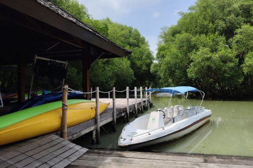 taman wisata angke kapuk, wisata mangrove angke kapuk, angke kapuk jakarta, taman wisata alam angka kapuk, Naik Kano dan Speedboat di TWA Angke Kapuk, Tiket Mulai Rp 50.000