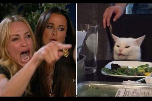 Meme, woman yelling at a cat, media sosial, Sangat Populer di Medsos, Siapa Sangka Meme Ini Menyimpan Duka di Baliknya
