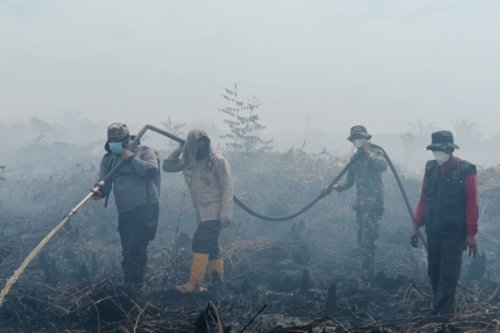 BNPB Curiga Karhutla di Riau Ulah Manusia: Api Terlihat Terpisah di Areal Sawit