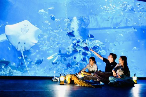 Daftar Libur Nasional &amp; Cuti Bersama Februari - Maret 2026, 1. Jakarta Aquarium &amp; Safari, 2. Konservasi Penyu Pulau Pramuka, Kepulauan Seribu, 4. Curug Cilember, Bogor, 5. Desa Wisata Pentingsari, Yogyakarta, 6. Taman Nasional Bantimurung, Sulawesi Selatan, 7. Kebun Raya Balikpapan, Kalimantan Timur, Long Weekend Februari-Maret, Ini 7 Wisata Edukasi Seru untuk Keluarga