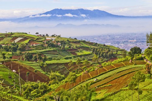 Long Weekend Imlek 2026, Ini 7 Wisata Ramah Keluarga di Bandung