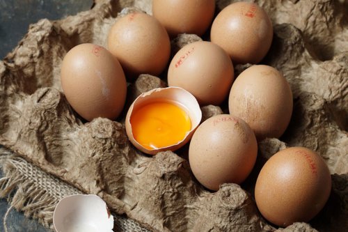 Benarkah Nutrisi Telur Omega 3 Lebih Banyak Dibanding Telur Biasa?