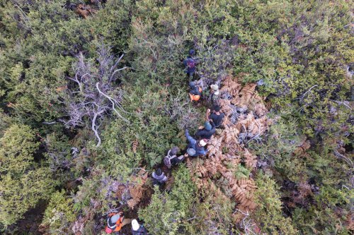 Belajar dari Kasus Pendaki Hilang, Guide Profesional Ungkap Titik Rawan Disorientasi di Gunung Ijen