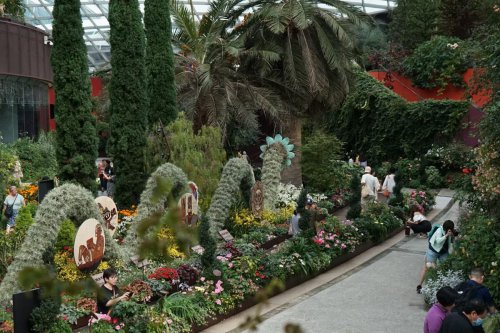 1. Gardens by the Bay, 2. Singapore Botanic Gardens, 3. MacRitchie Nature Trail &amp; Reservoir Park, 4. Singapore Zoo, 5. Night Safari, 6. Fort Canning Park, Top 6+ Wisata Alam dan Taman Hiburan di Singapura dengan Pemandangan Hijau