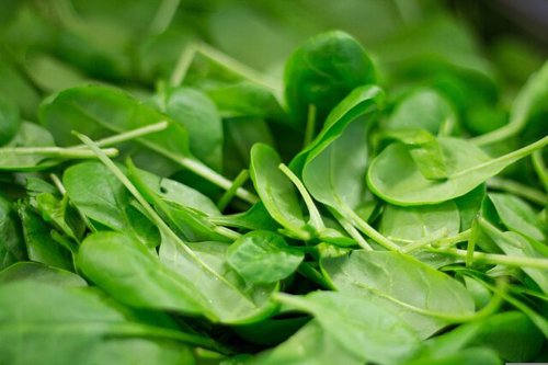 Sayur Ini Paling Direkomendasikan Ahli Gizi untuk Kesehatan Otak, Jantung, dan Usus