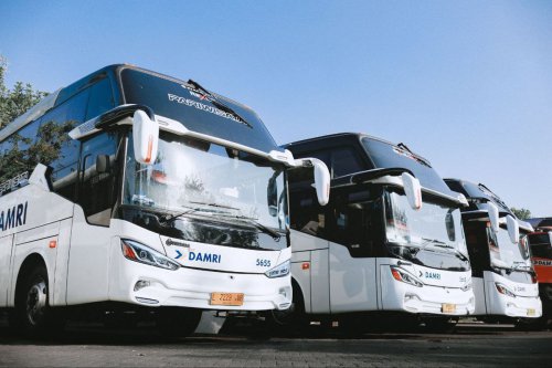 Daftar PO Bus AKAP dengan Layanan Pramugari di Indonesia