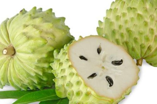 Top 9+ Manfaat Sirsak untuk Kesehatan, Konsumsi Setiap Hari