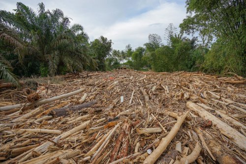 KLH Segel Kebun Sawit dan Pabrik di Tapanuli Tengah Imbas Banjir Sumatera