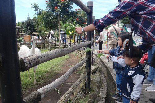 1. Tingkatkan Kebersihan Kota Sebagai Kunci Awal, 2. Estetika Kota Menjadi Daya Tarik Visual, 3. Basmi Pungutan Liar dan Atur Tiket Wisata Transparan, 4. Pedagang Jujur dan Berkualitas Jadi Gaya Baru Wisata, 5. Pemandu Wisata dan Keamanan Harus Siap, 6. Infrastruktur dan Kelancaran Lalu Lintas Saat Musim Libur, Dedi Mulyadi Beri Tips Tingkatkan Kunjungan Wisata, Salah Satunya Basmi Pungli