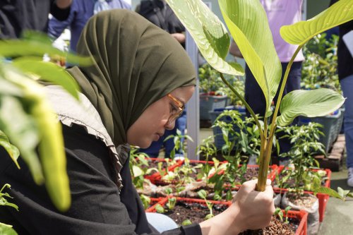 Rayakan 50 Tahun, The Body Shop Perkuat Komitmen Menjaga Bumi