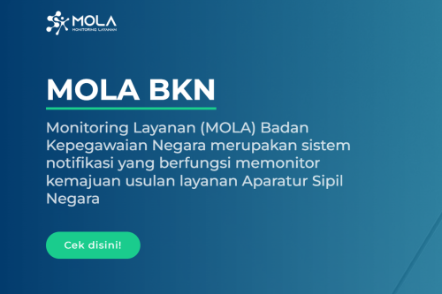 Top 8+ Status di Mola BKN Saat Cek NIP PPPK Paruh Waktu 2025, Simak Penjelasannya