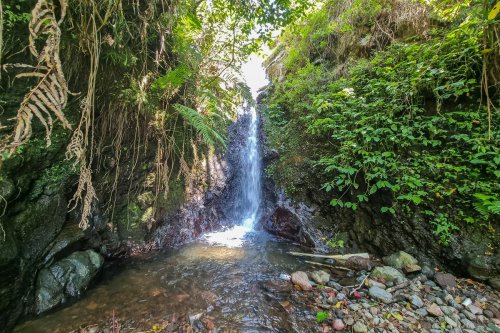 Air Terjun Semuncar, Air terjun Semuncar, alasan air terjun semuncar ditutup, air terjun semuncar bukan tempat wisata, apakah bisa treking di air terjun semuncar, lokasi air terjun semuncar, Alasan Air Terjun Semuncar Ditutup untuk Wisata: Sumber Air Warga di Kaki Gunung