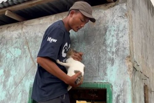 Relawan Selamatkan Anabul dan Ternak Terdampak Bencana di Tapsel, Tembus Lokasi Terisolasi