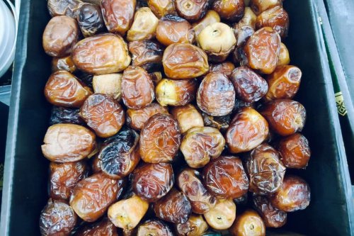 Resep Membuat Sirup Kurma Alami, Minuman Sehat Pengganti Gula di Rumah
