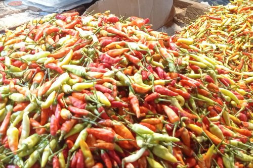 Harga Pangan di Sulawesi Selatan 9 Juni 2025, Cabai Rawit Rp 30.000 per Kilogram