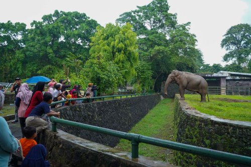 Top 11+ Tempat Wisata Gratis di Jakarta untuk Lansia dan Penyandang Disabilitas, Catat Syaratnya!