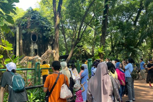 Ragunan Tetap Buka untuk Kunjungan Wisatawan, Jam Operasional Normal