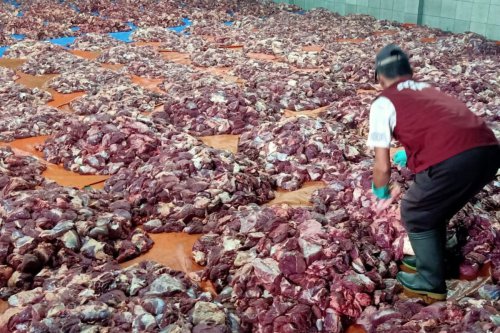 1. Potong daging melawan arah serat, 2. Bersihkan selaput dan urat, 3. Marinasi dengan nanas, 4. Manfaatkan daun pepaya, 5. Gunakan baking soda, 6. Rebus dengan santan untuk rasa gurih, 7. Teknik slow cooking untuk hasil maksimal, 8. Jangan cuci daging, 9. Pukul daging untuk melembutkan, 10. Taburi garam, 11. Perhatikan cara mencairkan daging beku, -Pilih bagian daging yang tepat, -Gunakan bumbu yang tepat, -Jangan terlalu banyak air saat merebus, Tips Jitu Mengempukkan Daging Kurban untuk Hidangan Idul Adha