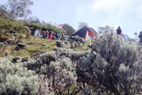Aturan Baru Pendakian Gunung Gede Pangrango: Pendaki Wajib Pakai Gelang RFID