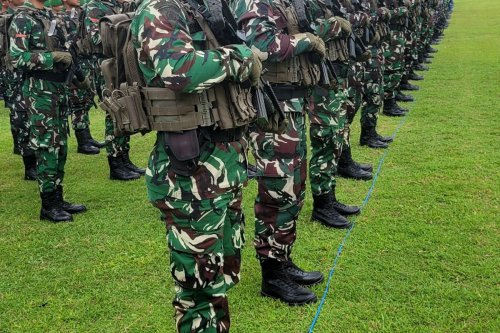 TNI AD Mulai Siapkan Pasukan untuk Misi Board of Peace di Wilayah Konflik, Termasuk Gaza