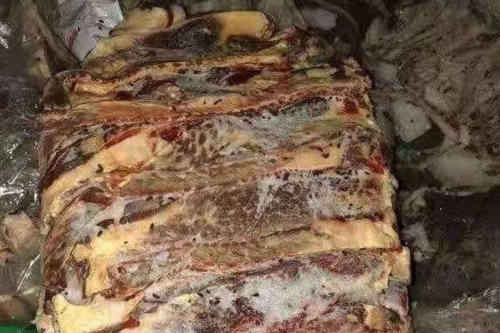 Jangan Cuma Dipotong, Ini Alasan Makanan Berjamur Harus Dibuang