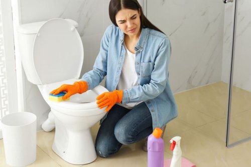 Cara Membersihkan Lubang Kloset dengan Bahan Dapur, Tak Perlu Beli Produk Pembersih