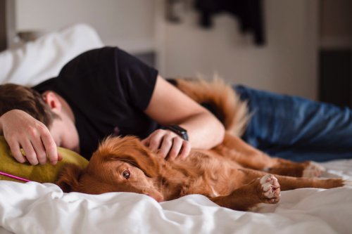Bukan Hanya Istirahat, 5 Manfaat Tidur Siang untuk Kesehatan Fisik dan Mental