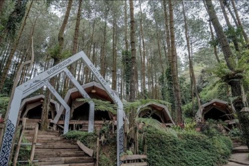Menyusuri Kabut dan Pinus di Menoreh, Borobudur Highland Suguhkan Alam, Budaya, dan Petualangan