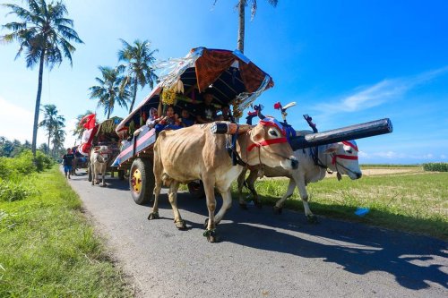 Mengenal Fetsival Pegon, Tradisi Khas Jember Sepekan Setelah Lebaran