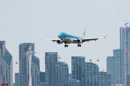 Pesawat KLM Putar Balik ke Amsterdam Usai Tabrak Burung