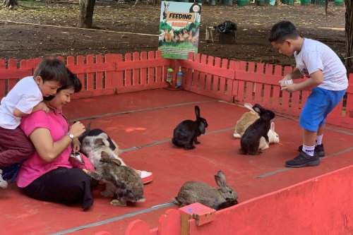 1. Belanja tanaman&nbsp;, 2. Beli hewan peliharaan, 3. Berinteraksi dan memberi makan hewan, 4. Mampir ke stan Taman Margasatwa Ragunan, 5. Berfoto di banyak spot, Top 5+ Aktivitas Wisata di Pameran Flona 2025, Feeding Satwa Bayar Berapa?