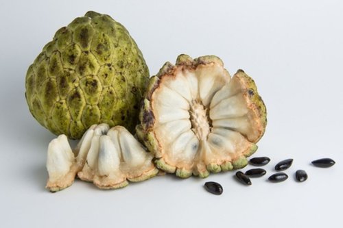 Top 5+ Manfaat Buah Srikaya, Sedang Musim dan Banyak Dijual