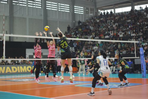 Jadwal Lengkap Proliga 2026: Pontianak Jadi Pembuka, Yogyakarta Tuan Rumah Final