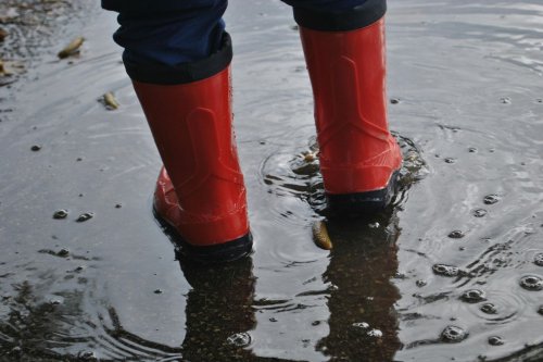 Mimpi Banjir: Tafsir Psikologis dan Cara Menghadapinya