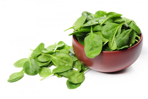 Tips Bikin Sayur Layu Segar Kembali, Modal Air Es
