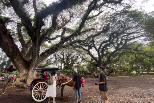 Sering Jadi Lokasi Film Horor, Wisatawan Takut ke Banyuwangi?
