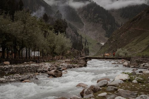 Usai Tutup 6 Bulan, 12 Tempat Wisata di Jammu dan Kashmir Dibuka Lagi, Ini Lokasinya!
