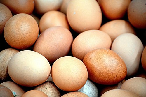 Saat Beli Telur, Lebih Baik Pilih yang Putih atau Cokelat?
