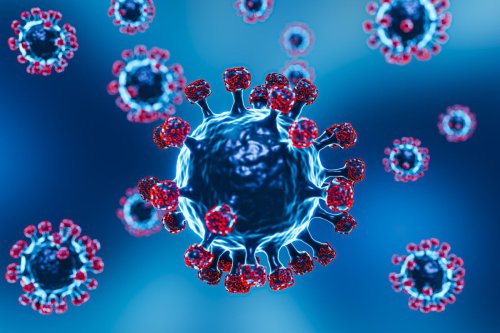 Pakar: Outbreak Kecil Virus Nipah Lebih Berbahaya dari Wabah Besar
