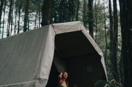 Menginap di Tengah Hutan Pinus Menoreh, Cocok untuk Healing saat Long Weekend