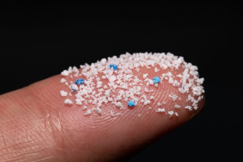 Mikroplastik di Arteri: Potensi Risiko Baru untuk Stroke, Menurut Penelitian