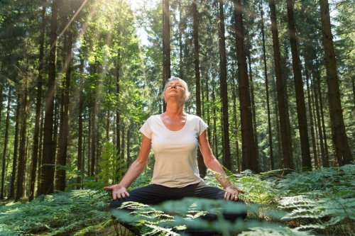 wisata kesehatan, wellness tourism, Wisata Kesehatan, wisata kesehatan di gunungkidul, Gunungkidul Bakal Punya Wisata Kesehatan, Hutan dan Jamu Jadi Andalan